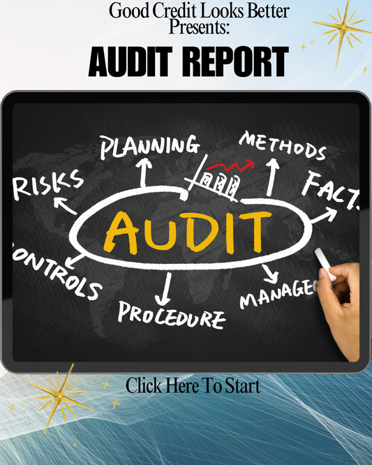 Audit Report